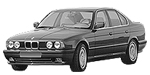 BMW E34 P1117 Fault Code